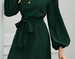 Lantern Sleeve Belted Tunic Dress