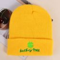 Leaf Embroidery Knit Beanie