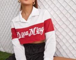 Letter Graphic Collared Colorblock Crop Sweatshirt