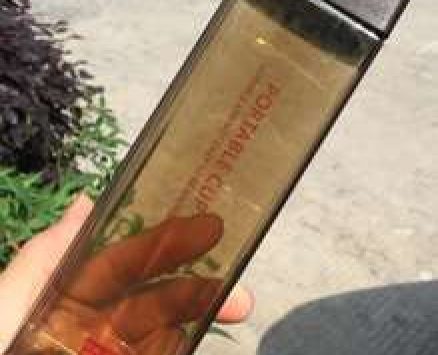 Letter Graphic Water Bottle