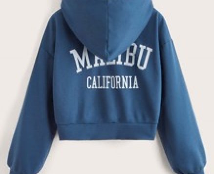 Letter Print Zip Up Drawstring Hoodie