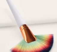 Ombre Fan Shaped Makeup Brush