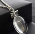 Oval Dandelion Glasses Necklace