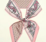 Paisley Print Twilly Scarf