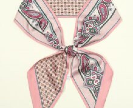 Paisley Print Twilly Scarf