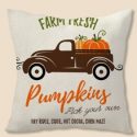 Pumpkin Print Cushion Cover Without Filler