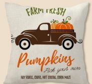 Pumpkin Print Cushion Cover Without Filler