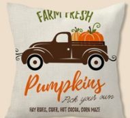 Pumpkin Print Cushion Cover Without Filler