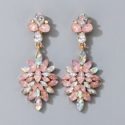 Rhinestone Decor Drop Earrings