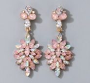Rhinestone Decor Drop Earrings