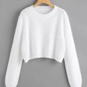 Ribbed Purl Knit Cropped Sweater