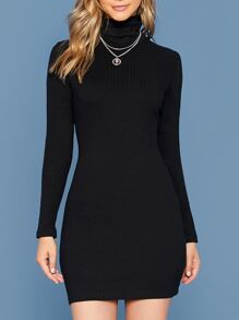 Ribbed Turtleneck Long Sleeve Mini Dress