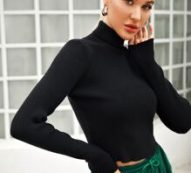 Rolled Neck Ribbed Knit Crop Sweater