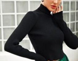 Rolled Neck Ribbed Knit Crop Sweater