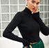 Rolled Neck Ribbed Knit Crop Sweater