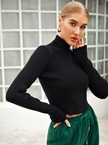 Rolled Neck Ribbed Knit Crop Sweater