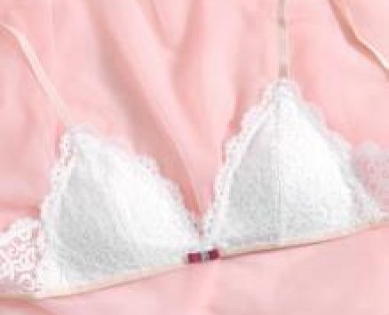 Scallop Trim Lace Bra