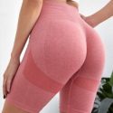 Seamless Contrast Panel Biker Shorts