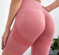 Seamless Contrast Panel Biker Shorts