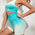 Seamless Ombre Bra and Sports Biker Shorts Set