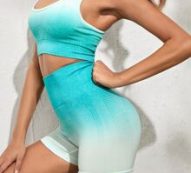 Seamless Ombre Bra and Sports Biker Shorts Set
