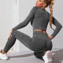 Seamless Raglan Sleeve Crop Sports Tee With Sports Leggings