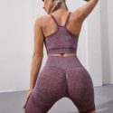 Seamless Space Dye Sports Bra With Biker Shorts