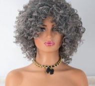 Short Curly Wig