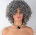 Short Curly Wig
