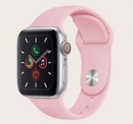 Solid Apple Watch Band