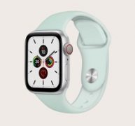 Solid Apple Watch Band