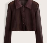 Solid Sheer Button Front Blouse