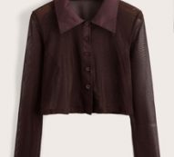 Solid Sheer Button Front Blouse