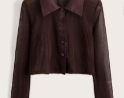 Solid Sheer Button Front Blouse