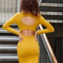 Solid Textured Cut Out Back Bodycon Dress