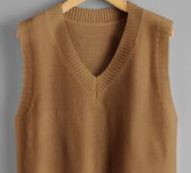 Solid V-Neck Cropped Sweater Vest