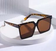 Square Frame Tinted Lens Sunglasses