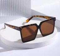 Square Frame Tinted Lens Sunglasses