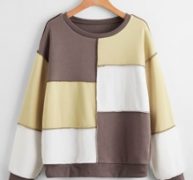 Stitching Trim Colorblock Sweatshirt