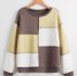 Stitching Trim Colorblock Sweatshirt