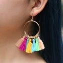 Tassel Decor Drop Earrings