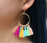 Tassel Decor Drop Earrings