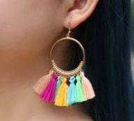 Tassel Decor Drop Earrings