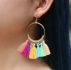 Tassel Decor Drop Earrings