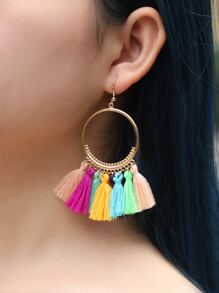 Tassel Decor Drop Earrings