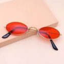 Tinted Lens Sunglasses