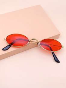 Tinted Lens Sunglasses