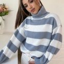 Turtle Neck Striped Sweater