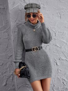 Turtleneck Raglan Sleeve Sweater Dress Without Belt