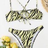 Zebra Stripe Crisscross Bikini Swimsuit